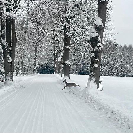 Garsonka V Srdci Vysociny Appartement Žďár nad Sázavou Buitenkant foto