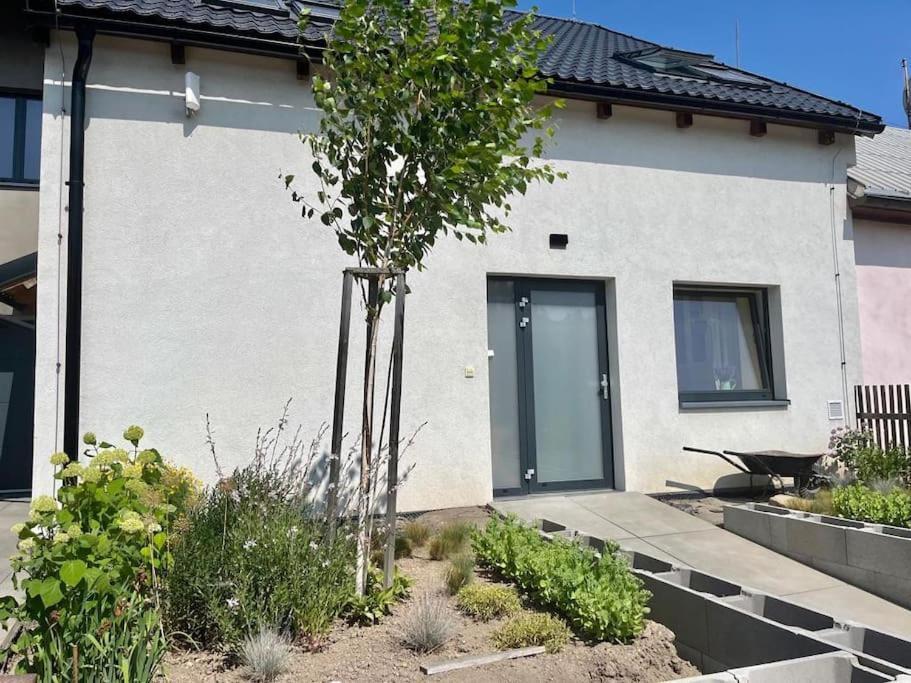 Garsonka V Srdci Vysociny Appartement Žďár nad Sázavou Buitenkant foto
