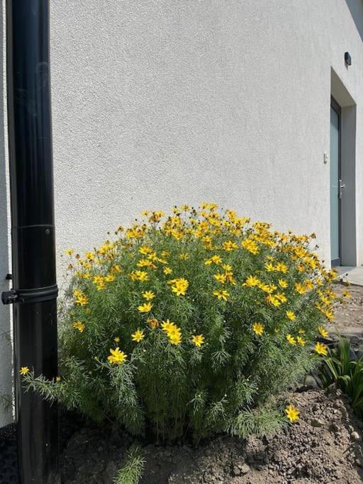 Garsonka V Srdci Vysociny Appartement Žďár nad Sázavou Buitenkant foto