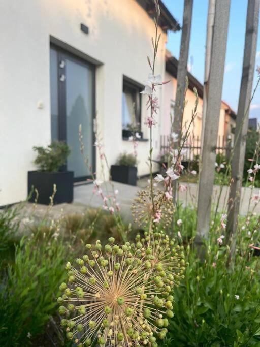 Garsonka V Srdci Vysociny Appartement Žďár nad Sázavou Buitenkant foto