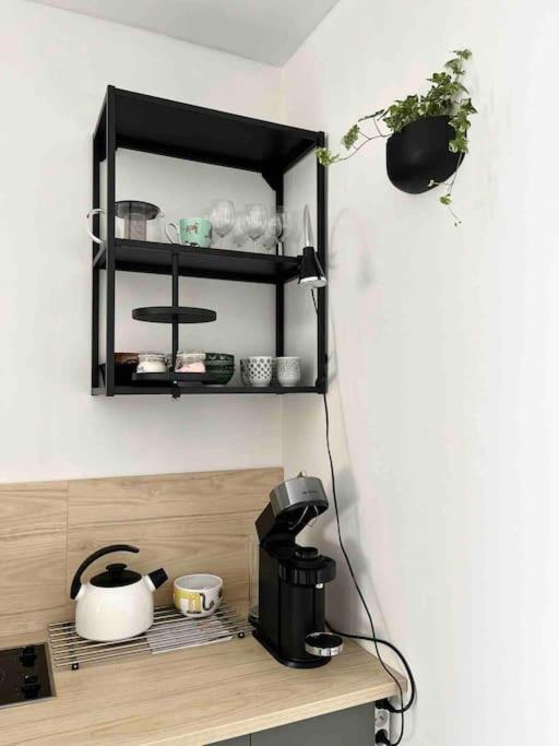 Garsonka V Srdci Vysociny Appartement Žďár nad Sázavou Buitenkant foto