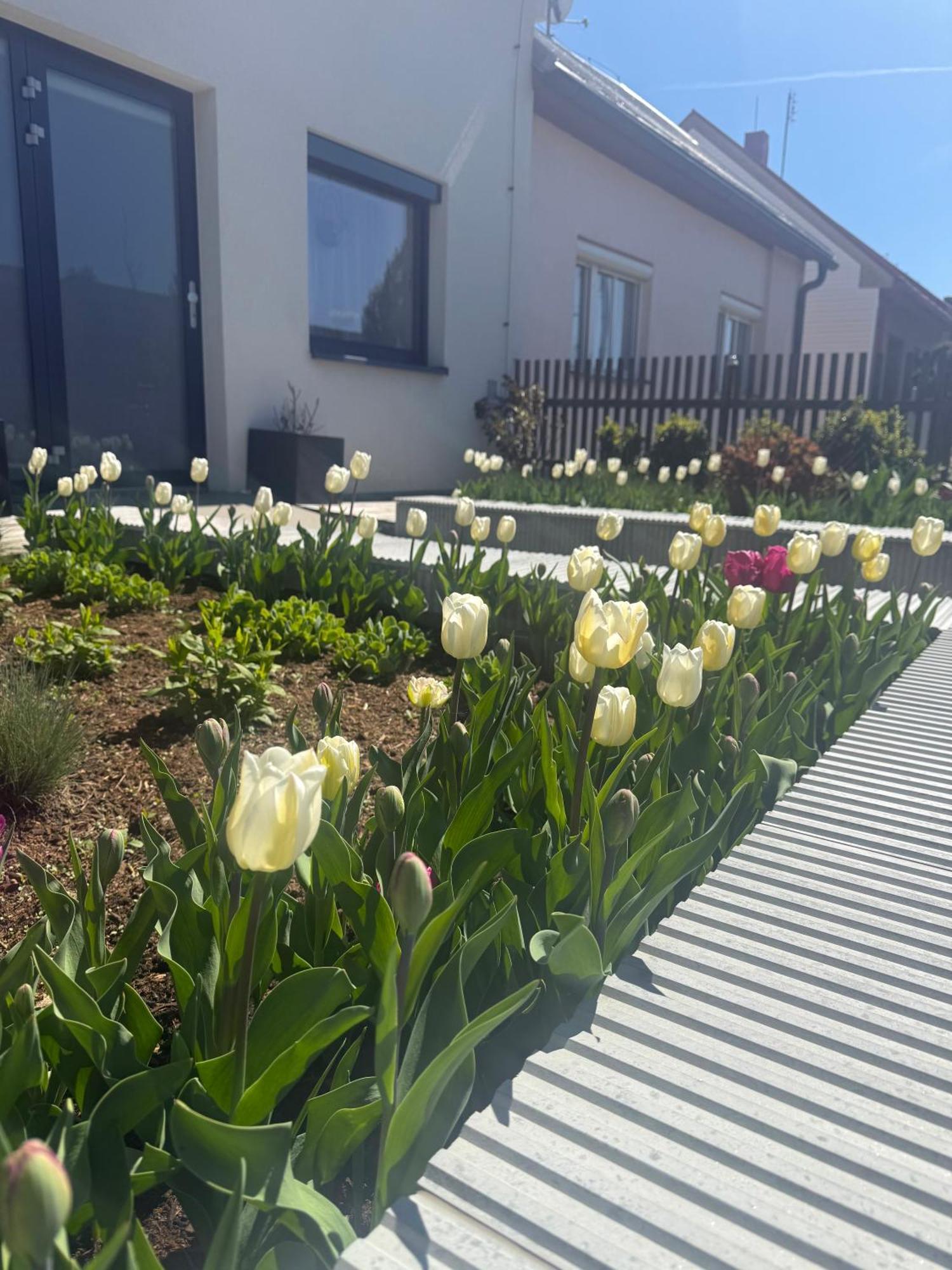 Garsonka V Srdci Vysociny Appartement Žďár nad Sázavou Buitenkant foto