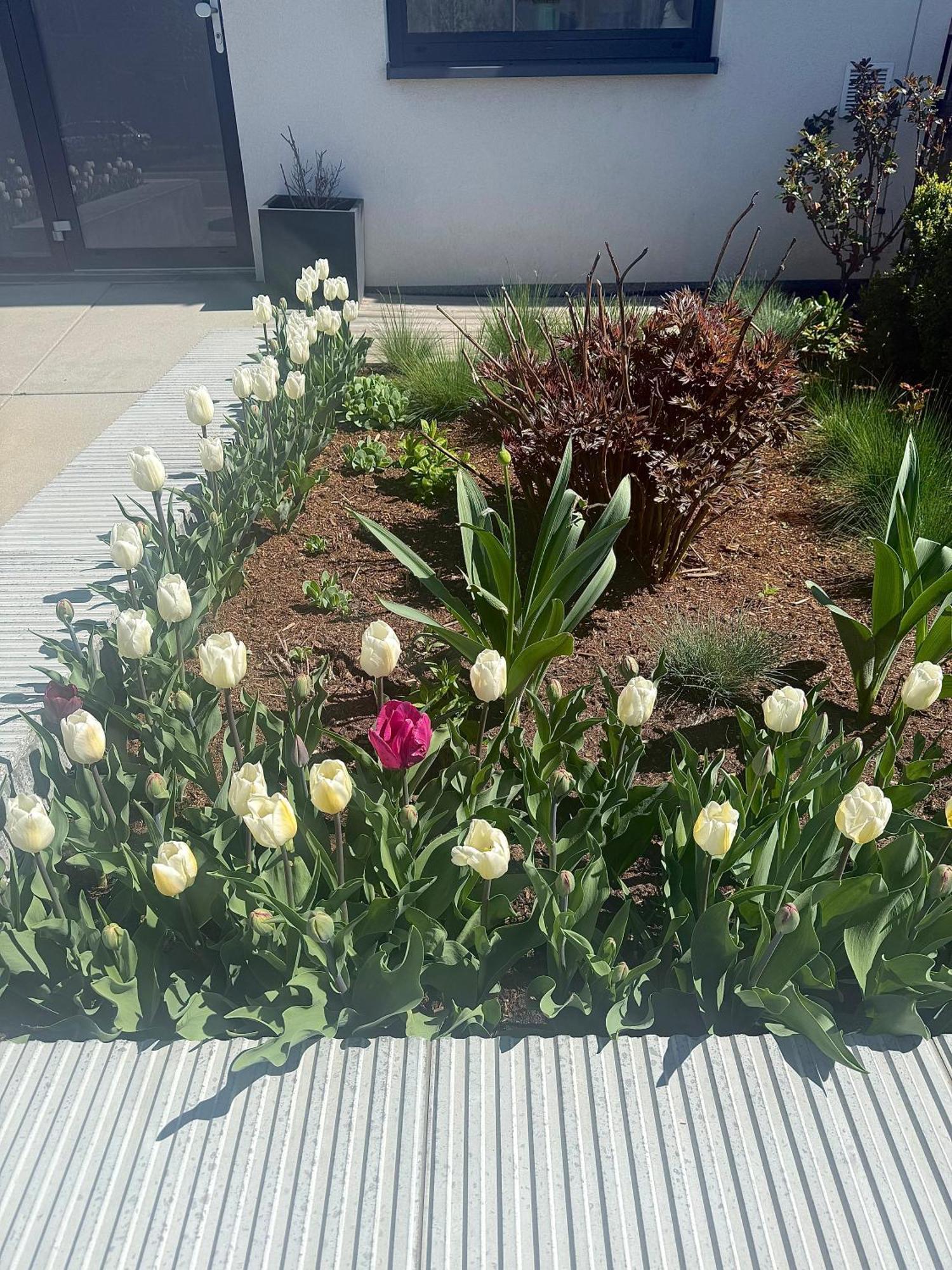 Garsonka V Srdci Vysociny Appartement Žďár nad Sázavou Buitenkant foto